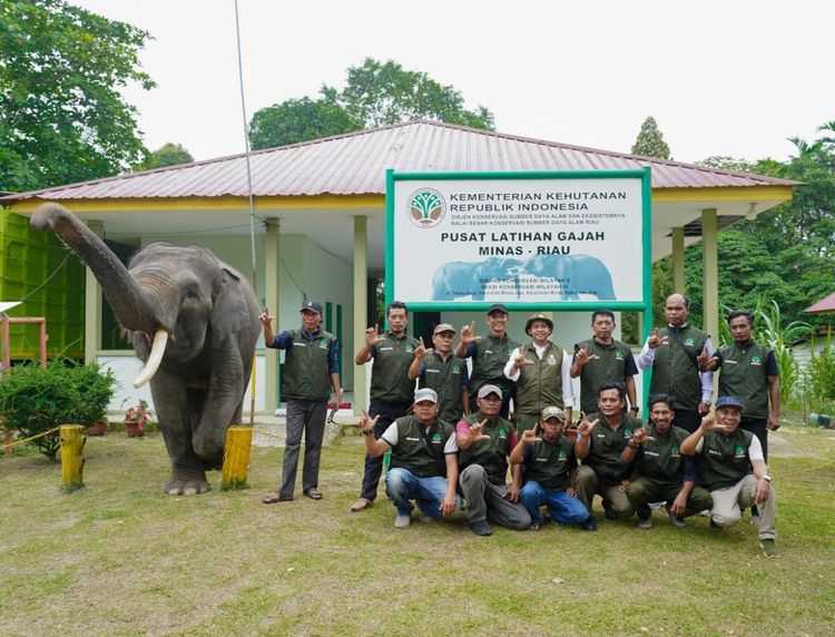 Standard Post with Image