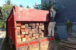 Kemenhut Amankan Truk Bermuatan Kayu di TN Meru Betiri, Penyidik Dalami Alur Peredaran dan Pihak yang Bertanggung Jawab