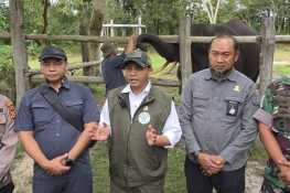 Menhut Sampaikan Terima Kasih ke Netizen atas Dukungan Restorasi #SaveTessoNilo