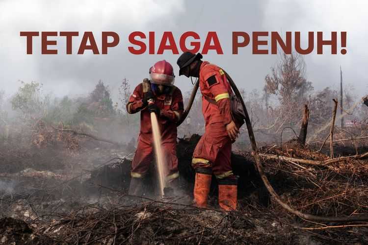Standard Post with Image